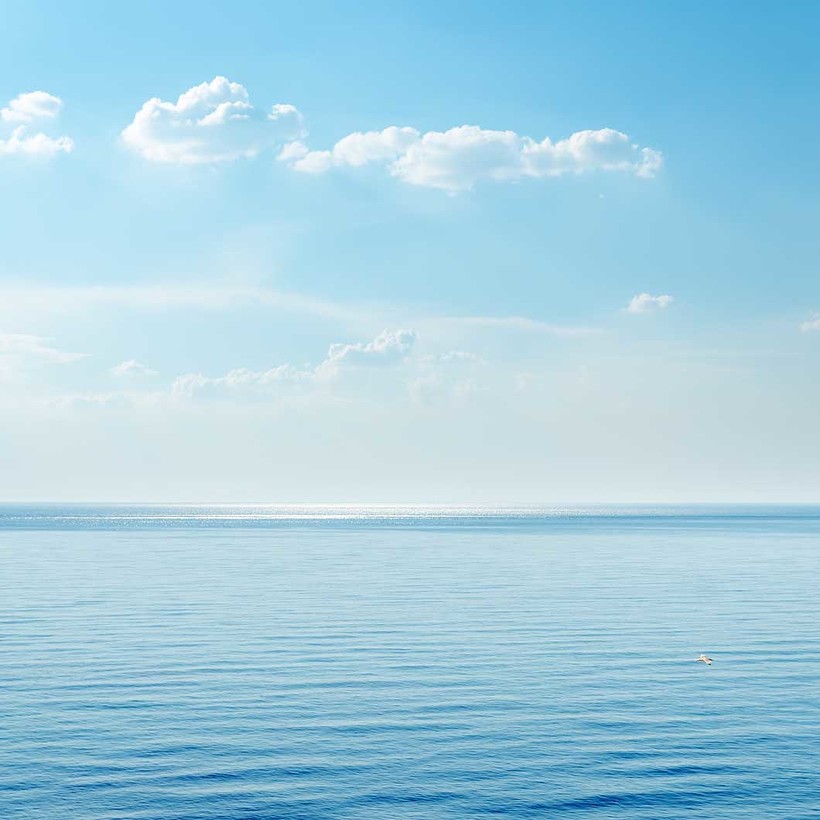 sea